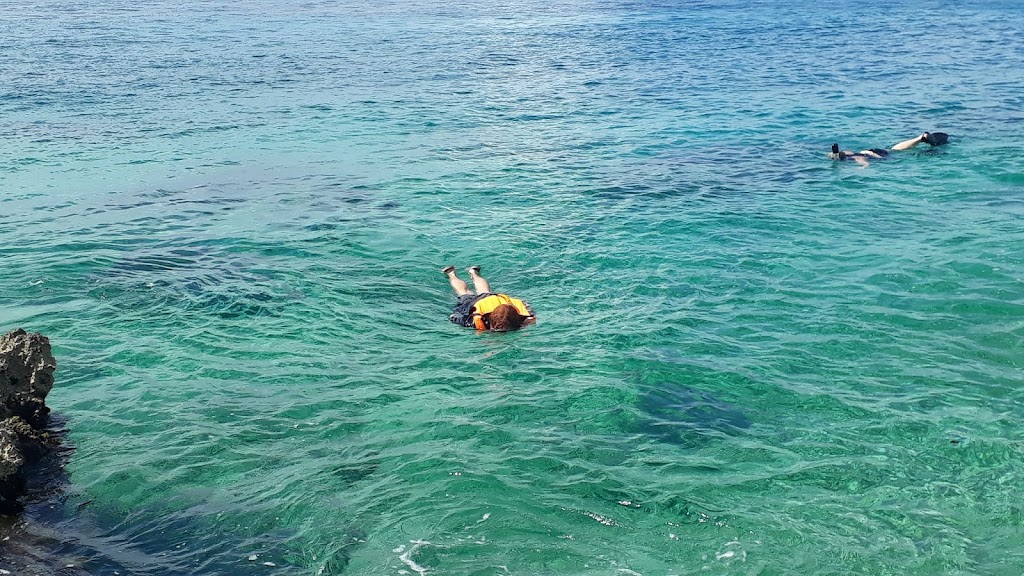 Ilha Cozumel  Fonte: Tamara Rumo ao Porto