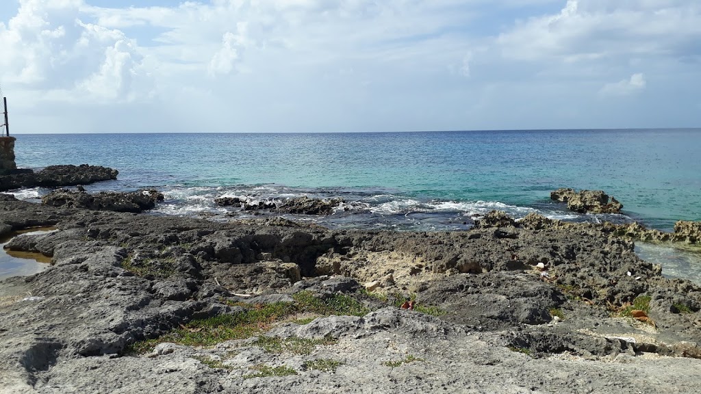 Ilha Cozumel  Fonte: Tamara Rumo ao Porto