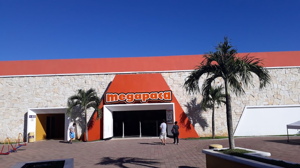 Flores na Guatemala - mega paca Fonte: Tamara Rumo ao Porto