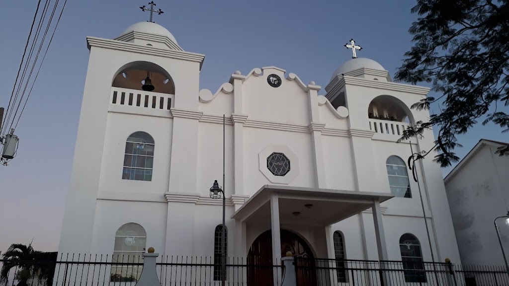 Flores na Guatemala Fonte: Tamara Rumo ao Porto