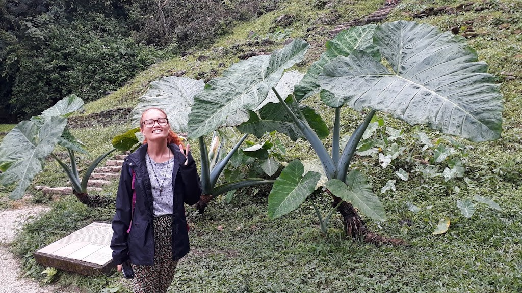 Palenque - zona arqueológica Fonte: Tamara Rumo ao Porto