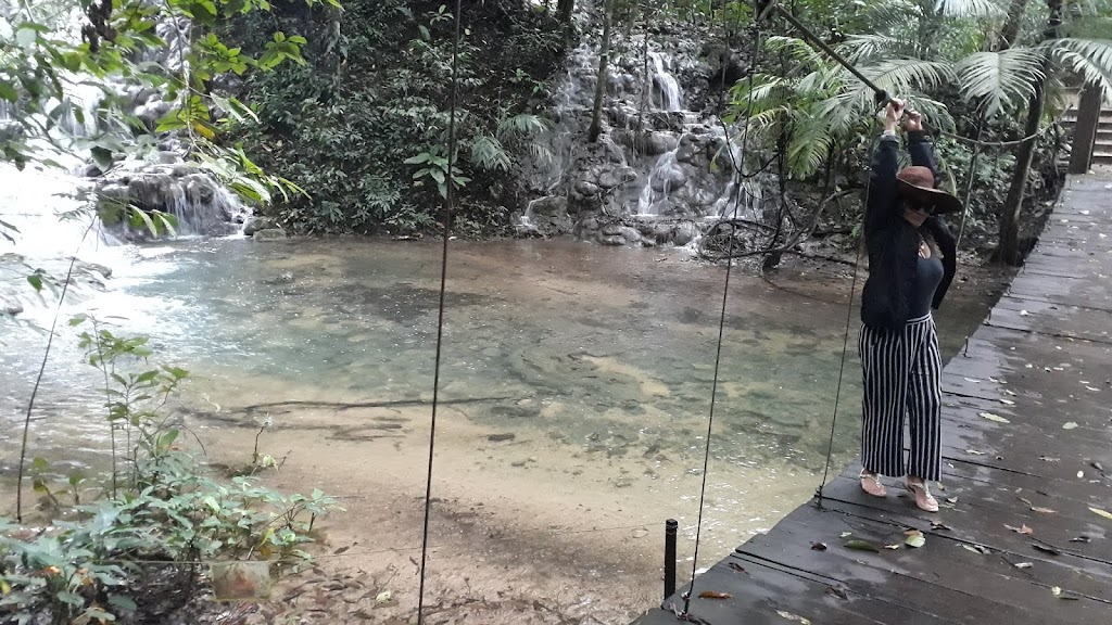 Palenque - trilha na zona arqueológica Fonte: Tamara Rumo ao Porto