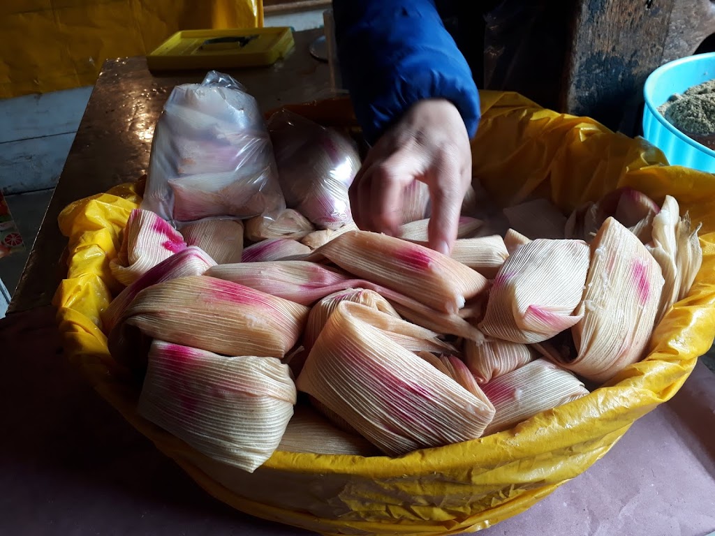 San Cristobal de las casas  Fonte: Tamara Rumo ao Porto