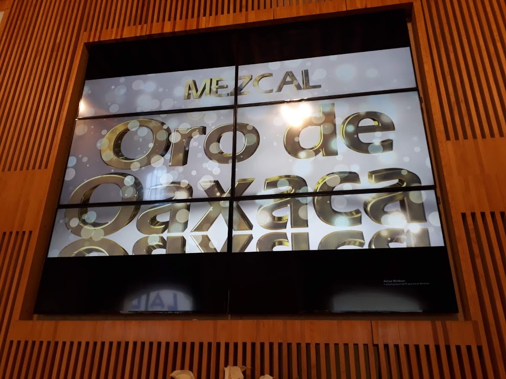 San Cristobal de las casas - mezcal Fonte: Tamara Rumo ao Porto