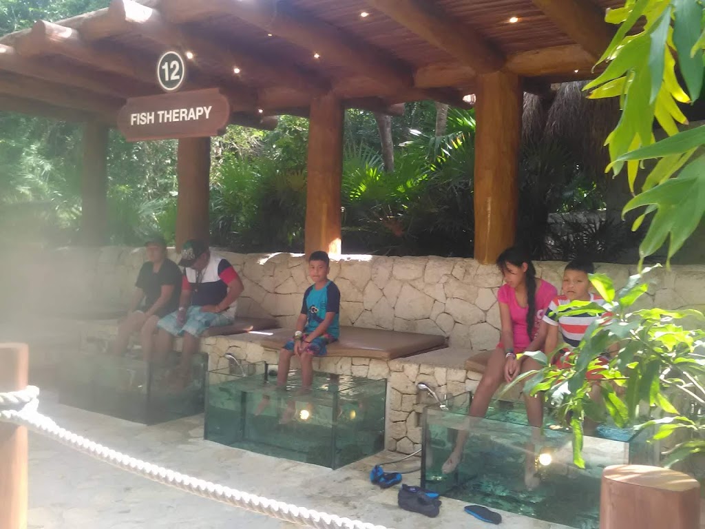 Xcaret - terapia do peixe Fonte: Tamara Rumo ao Porto