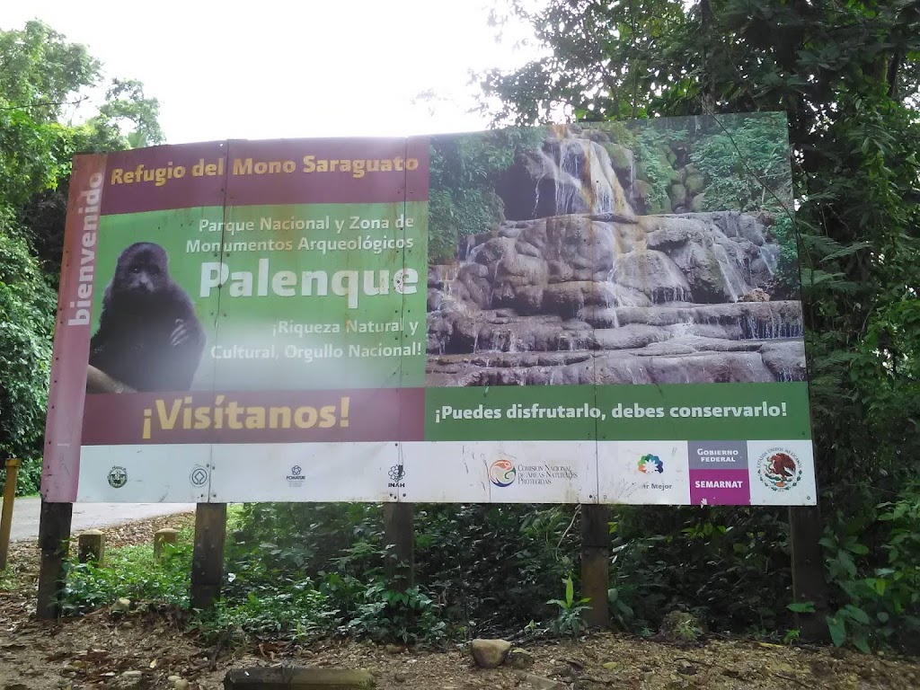Palenque - zona arqueológica Fonte: Tamara Rumo ao Porto