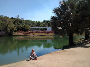 IMG_20170917_131643860